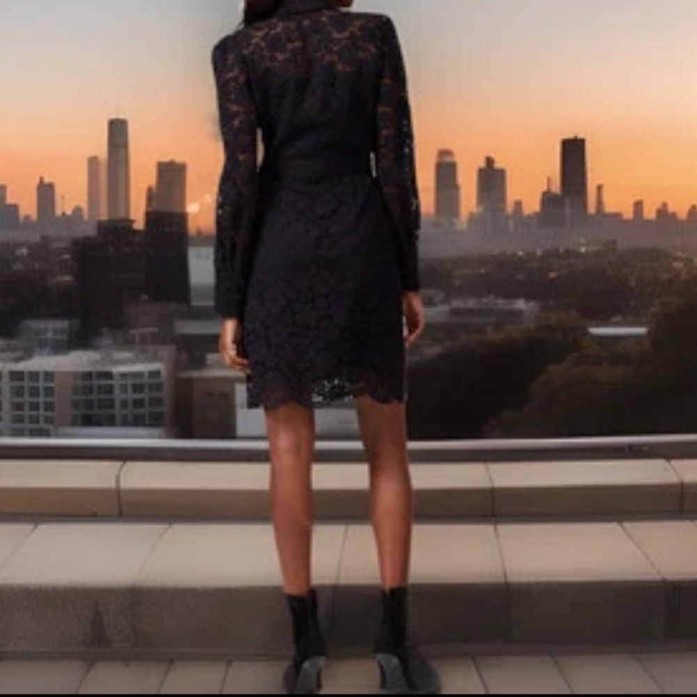 Shoshanna Highland Dress Intricately Black Lace Giving This Your Go 2 Sexy Dress - Picture 4 of 14